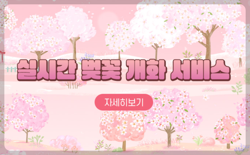 하동 벚꽃 개화상황