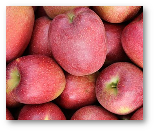감홍사과 3