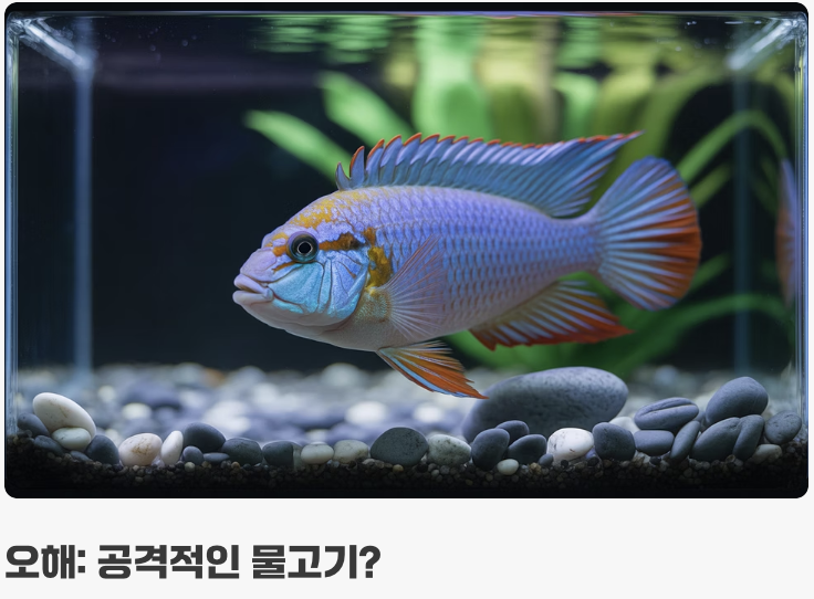 시클리드, '성격 나쁜' 물고기가 아니에요
