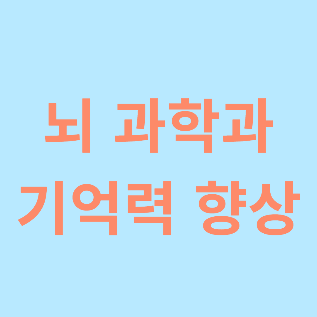 기억력 향상 방법