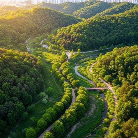 '수락 휴' 자연휴양림