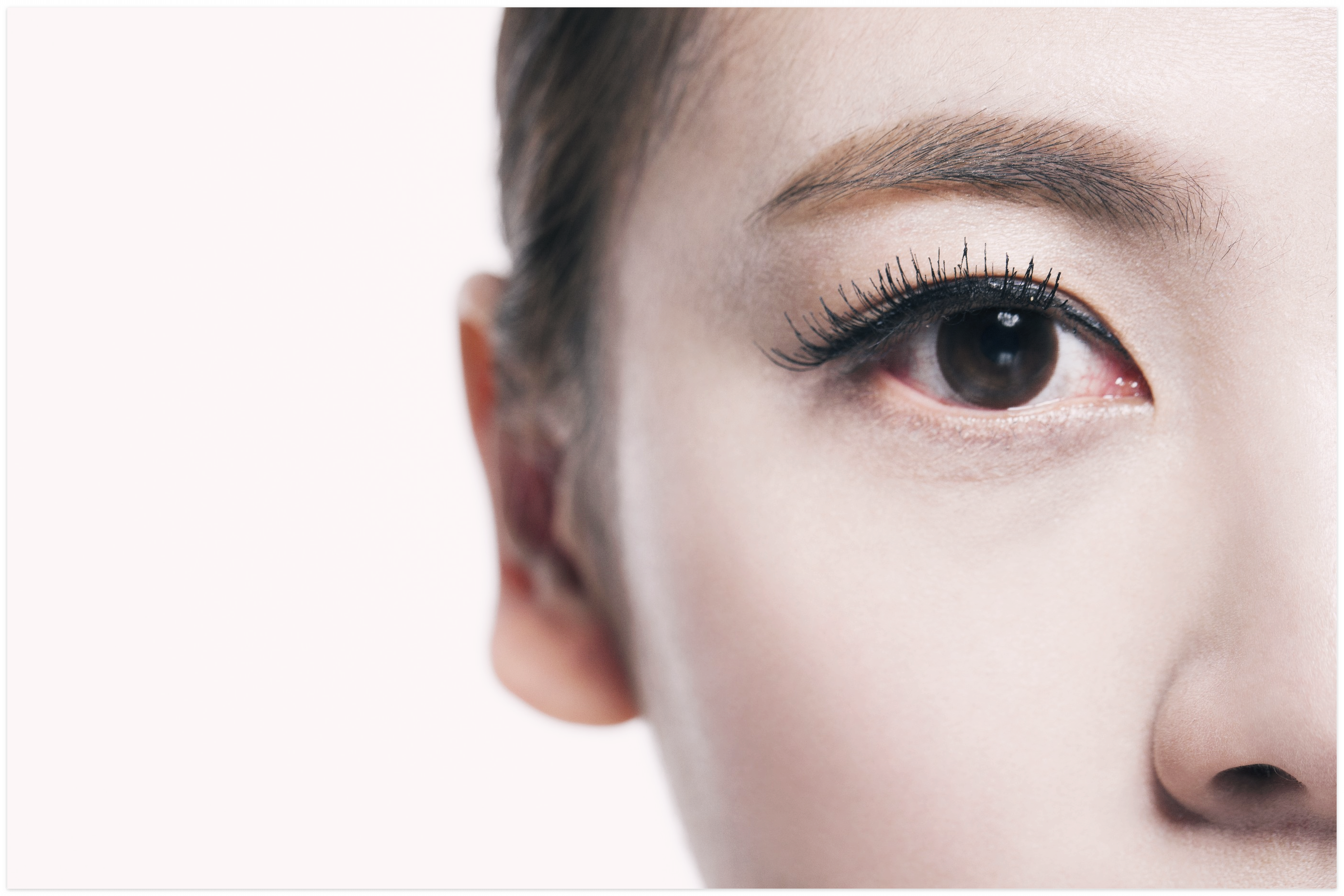 콘드로이친 효능