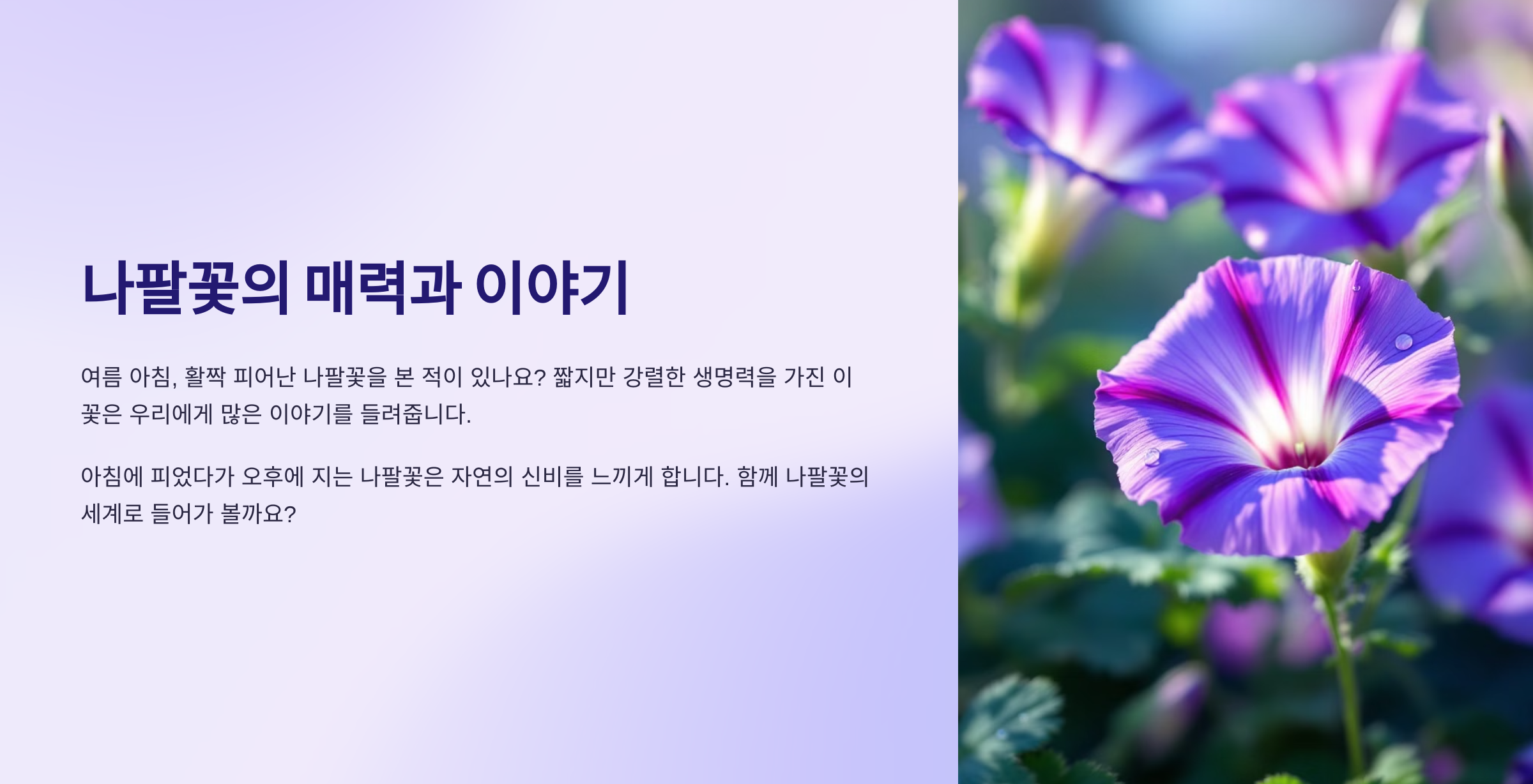 나팔꽃 사진