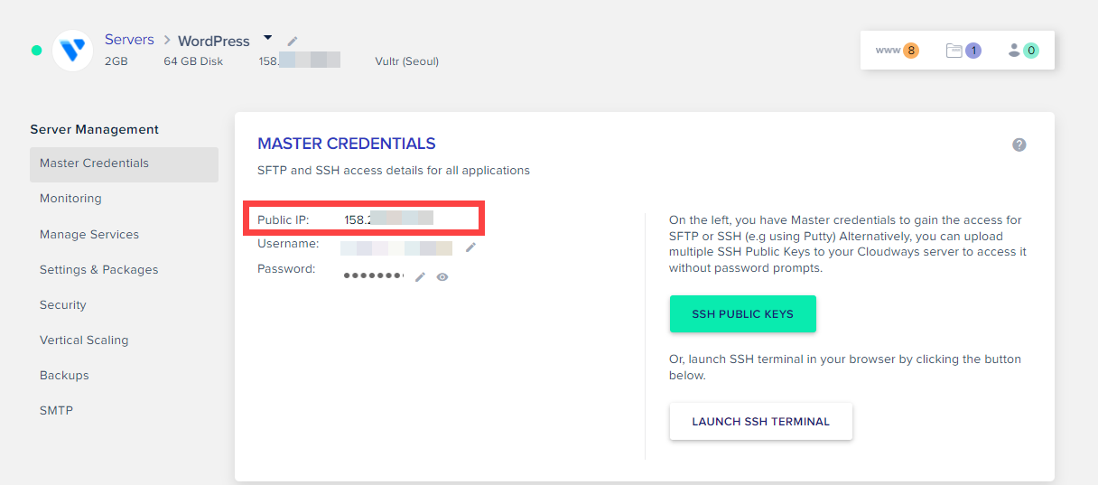 클라우드웨이즈 서버 IP 주소 확인하기