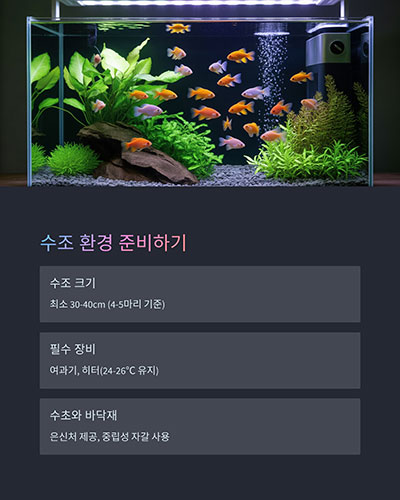 수조와 환경 준비: 단순하지만 체계적인 환경이 필요