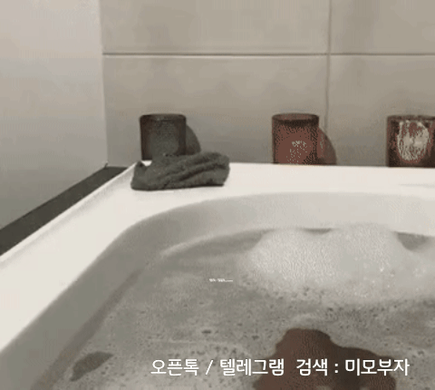 12월 12일 화 신문스크랩