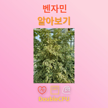 벤자민 탐구