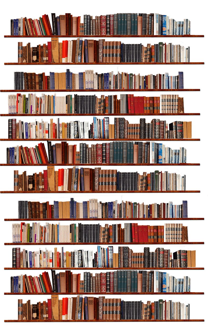 독립서점 책방 책