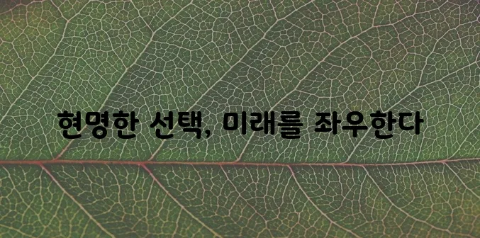 대학생에게 필요한 대출, 꼼꼼히 알아봐야죠!