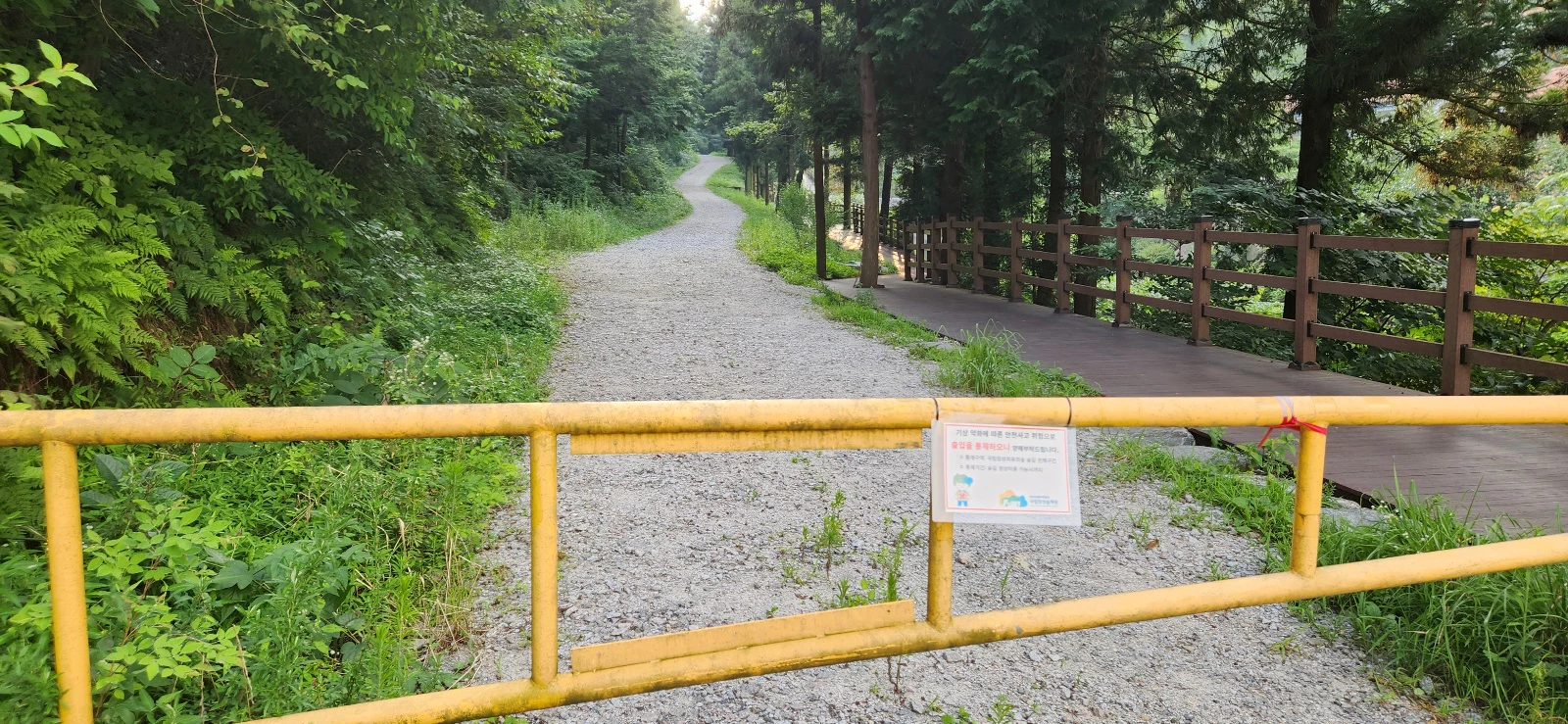 장성 치유의숲 통제