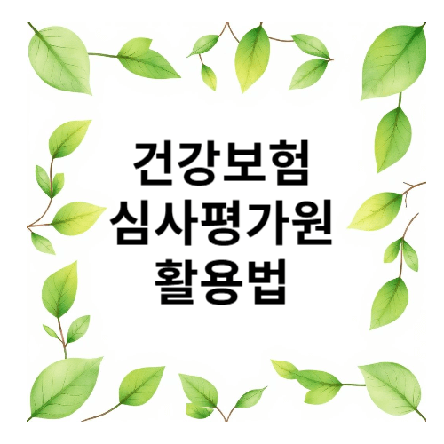 건강보험심사평가원 활용법