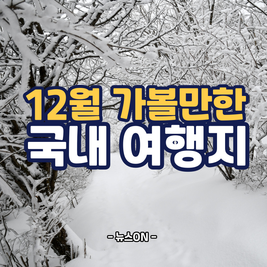 12월에 가볼만한 국내 여행지