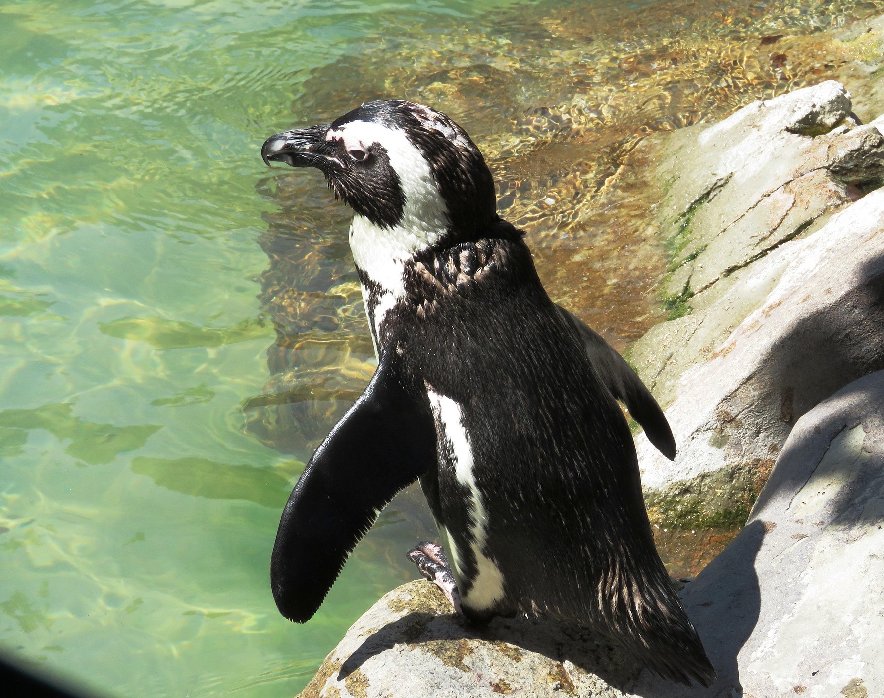 기후 재난이 일상이 된 이유 지금 이 순간에도 진행 중인 5가지 경고 신호