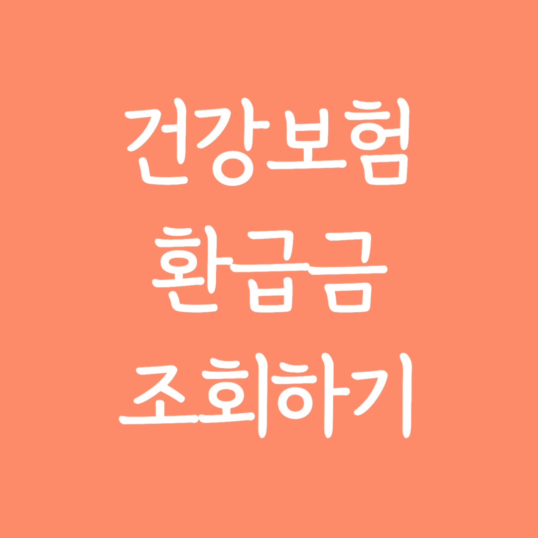 건강보험 환급금 조회하기