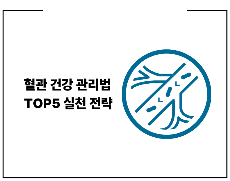 혈관 건강 관리법 TOP5 실천 전략