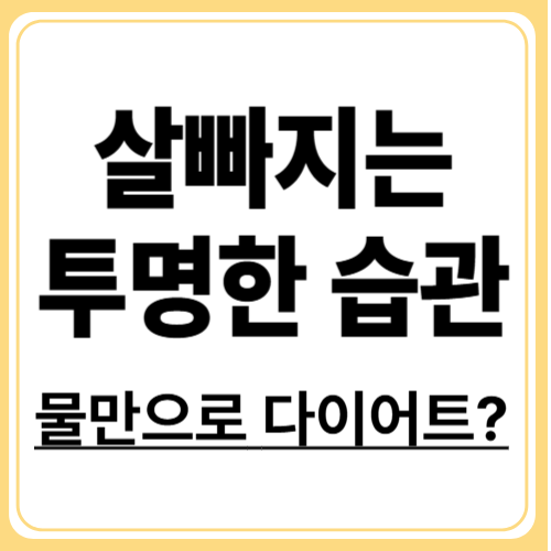 물만 마셨는데 살이 빠진다? 하루 물 2리터 효과