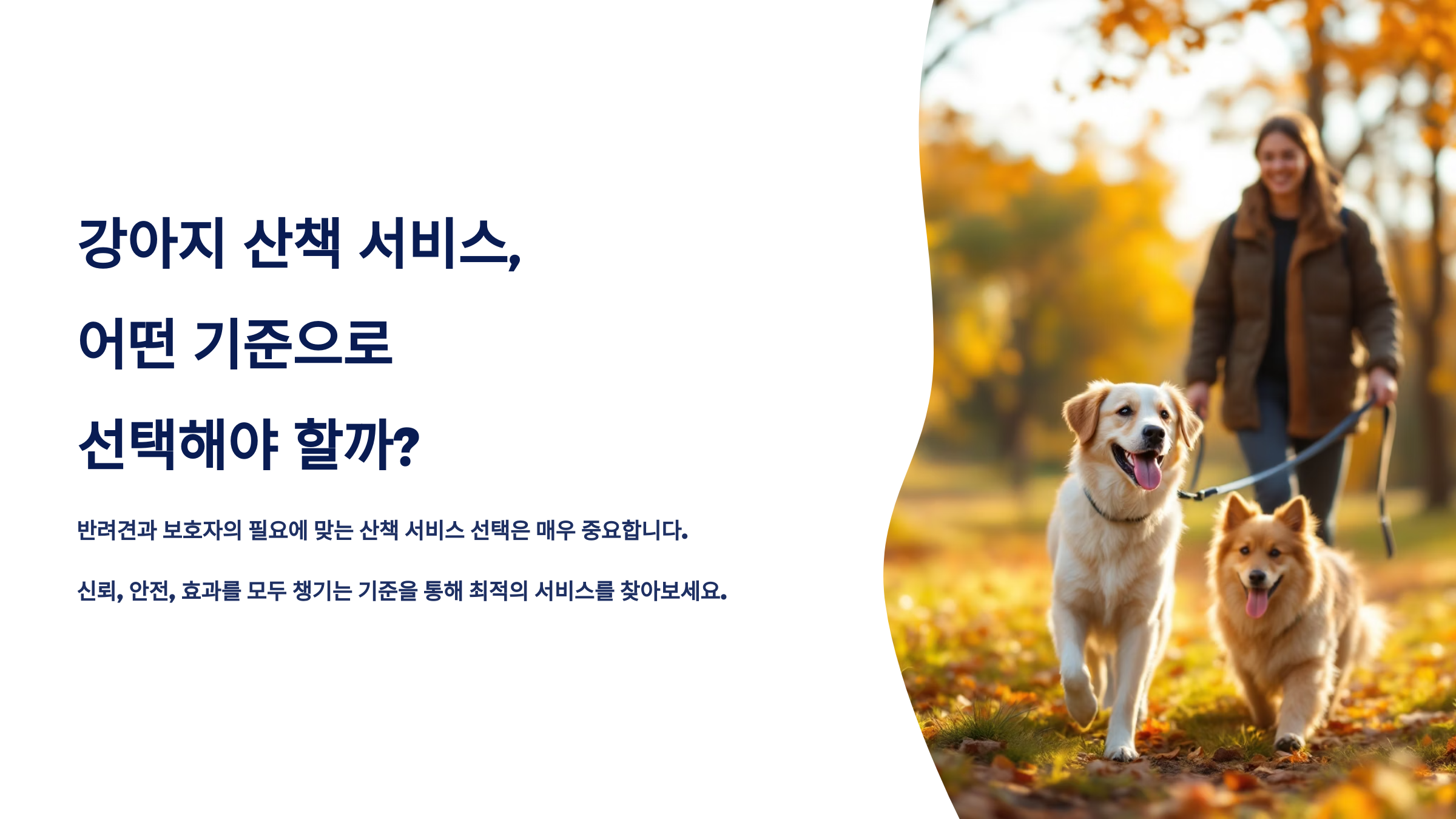 강아지 산책 서비스, 어떤 기준으로 선택해야 할까?