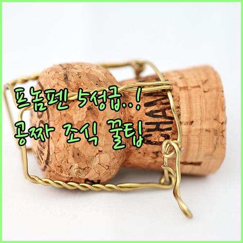 캄보디아 프놈펜 여행 숙소 추천 5성..