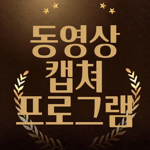 동영상 캡쳐 프로그램
