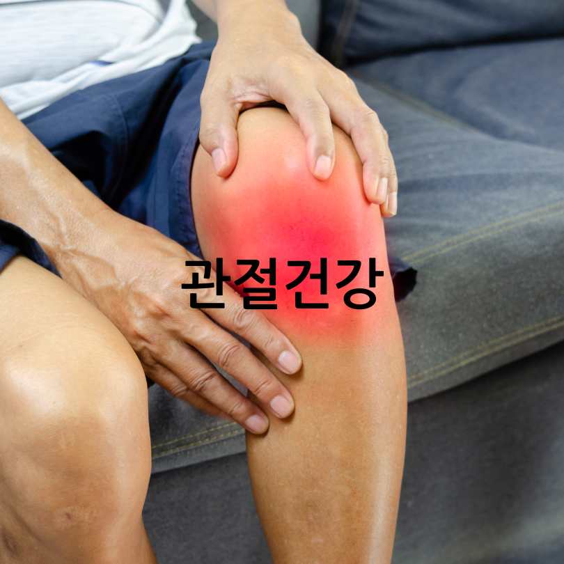 커큐민 흡수율 높인 제품