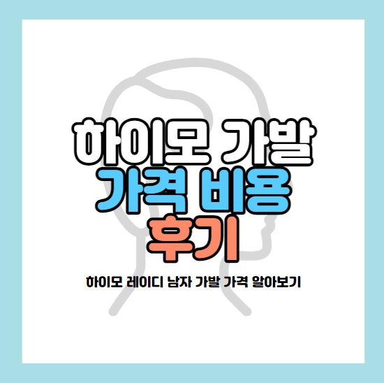 하이모가발가격