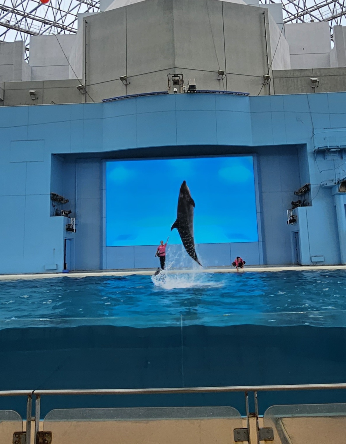 🚂🚃 아이와 함께 떠난 에노시마 &amp; 요코하마 4일 여행! 쇼난 모노레일&amp;#44; 에노덴&amp;#44; 컵누들 박물관까지 [가족여행/아이와가볼만한곳]