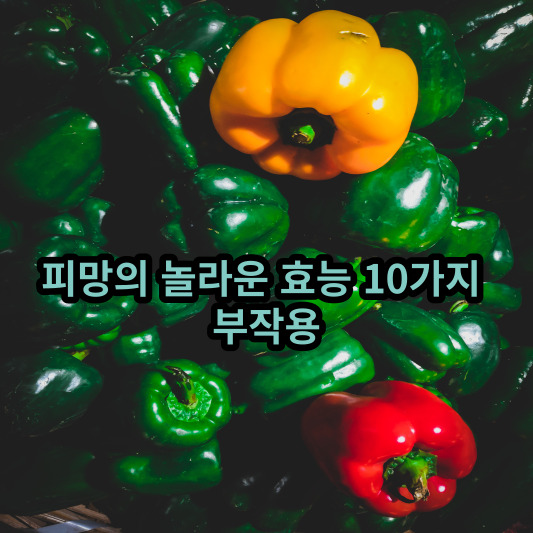 피망의 놀라운 효능 10가지 부작용