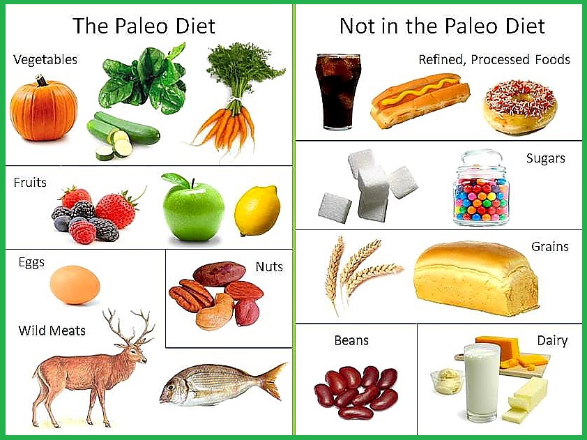 팔레오 다이어트