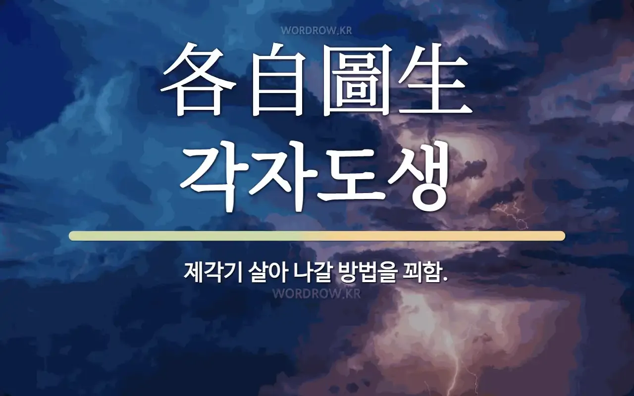 각자도생 뜻 유래 한자 비슷한 말 예문 영어 속담 반대말_1