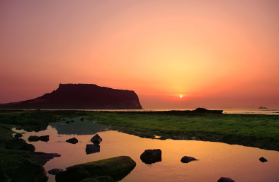 제주도 디지털 노마드