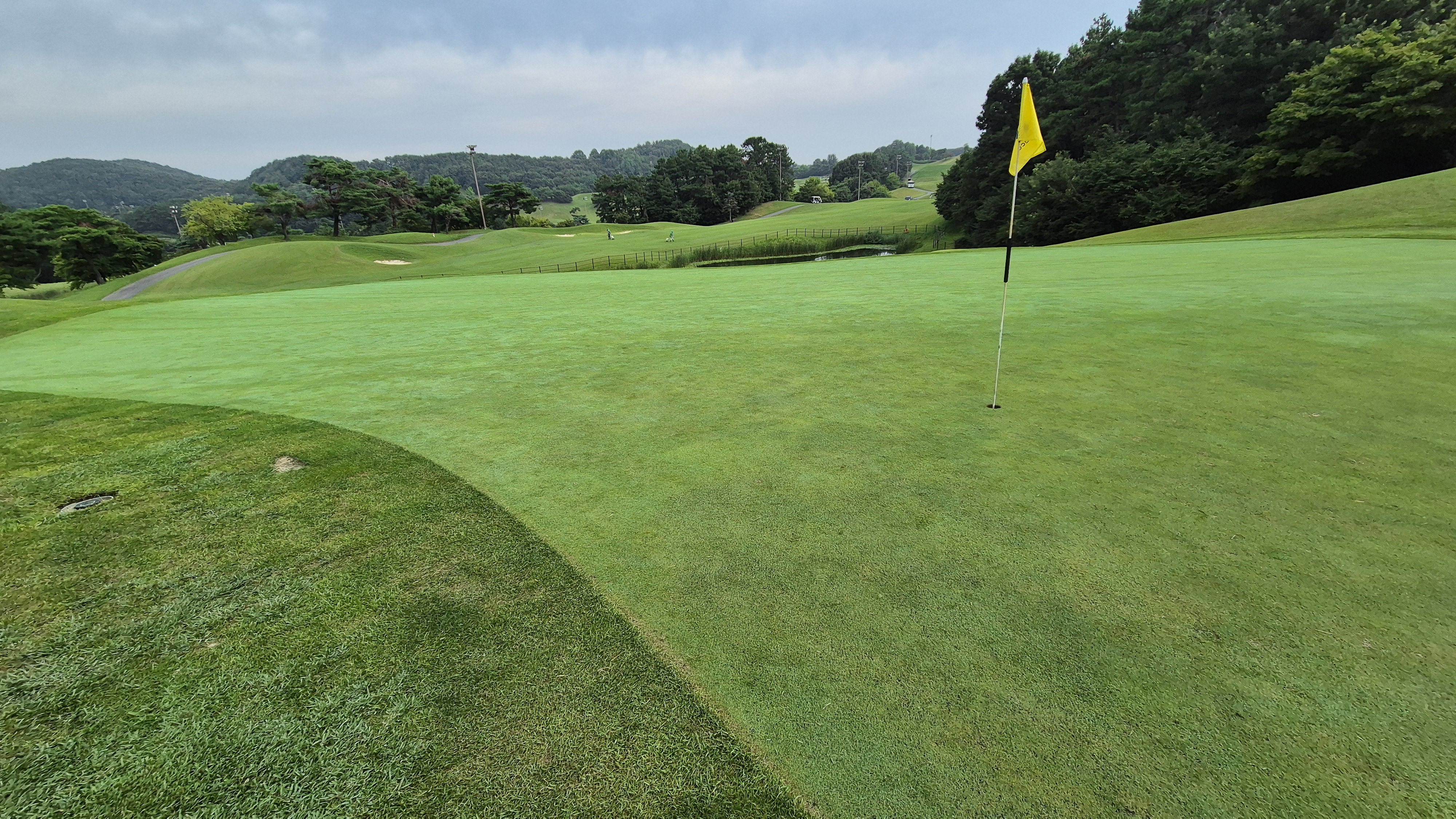 한림용인cc 다이아몬드-사파이어 코스 라운드 후기