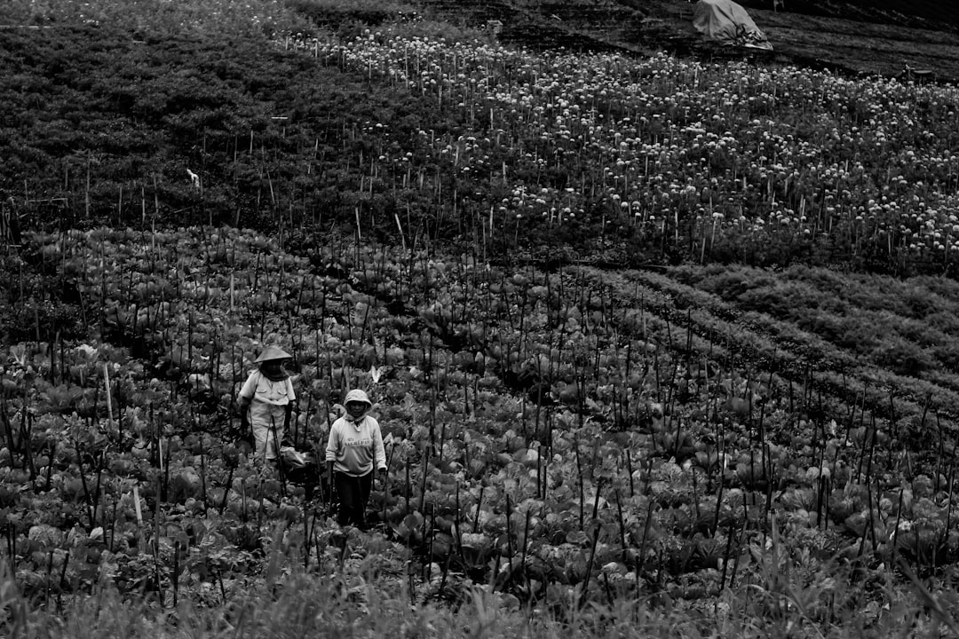 Farmers.