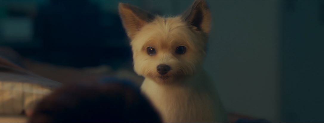 오늘도사랑스럽개_4회