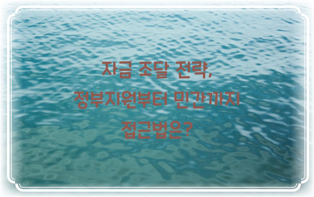 자금 조달 전략, 정부지원부터 민간까지