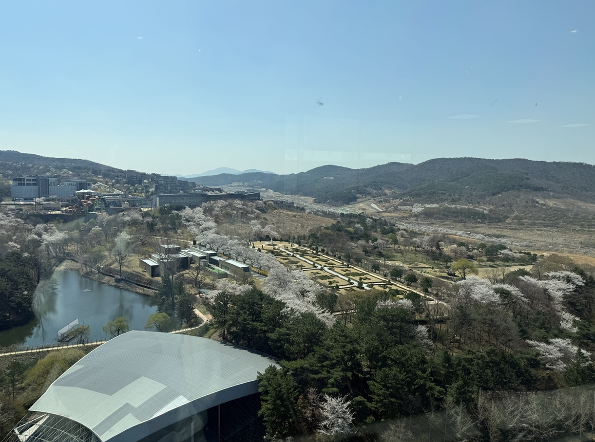 경주타워전망대