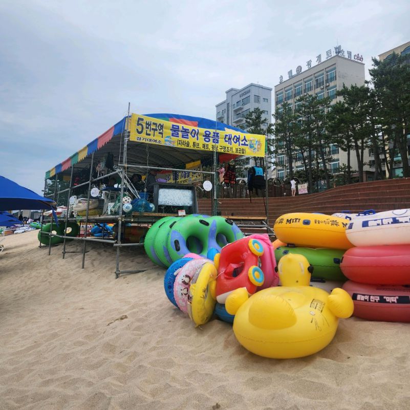 보령 가볼만한곳 베스트10 대천해수욕장