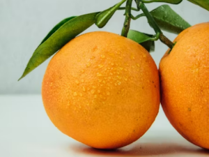 기관지에 좋은 음식