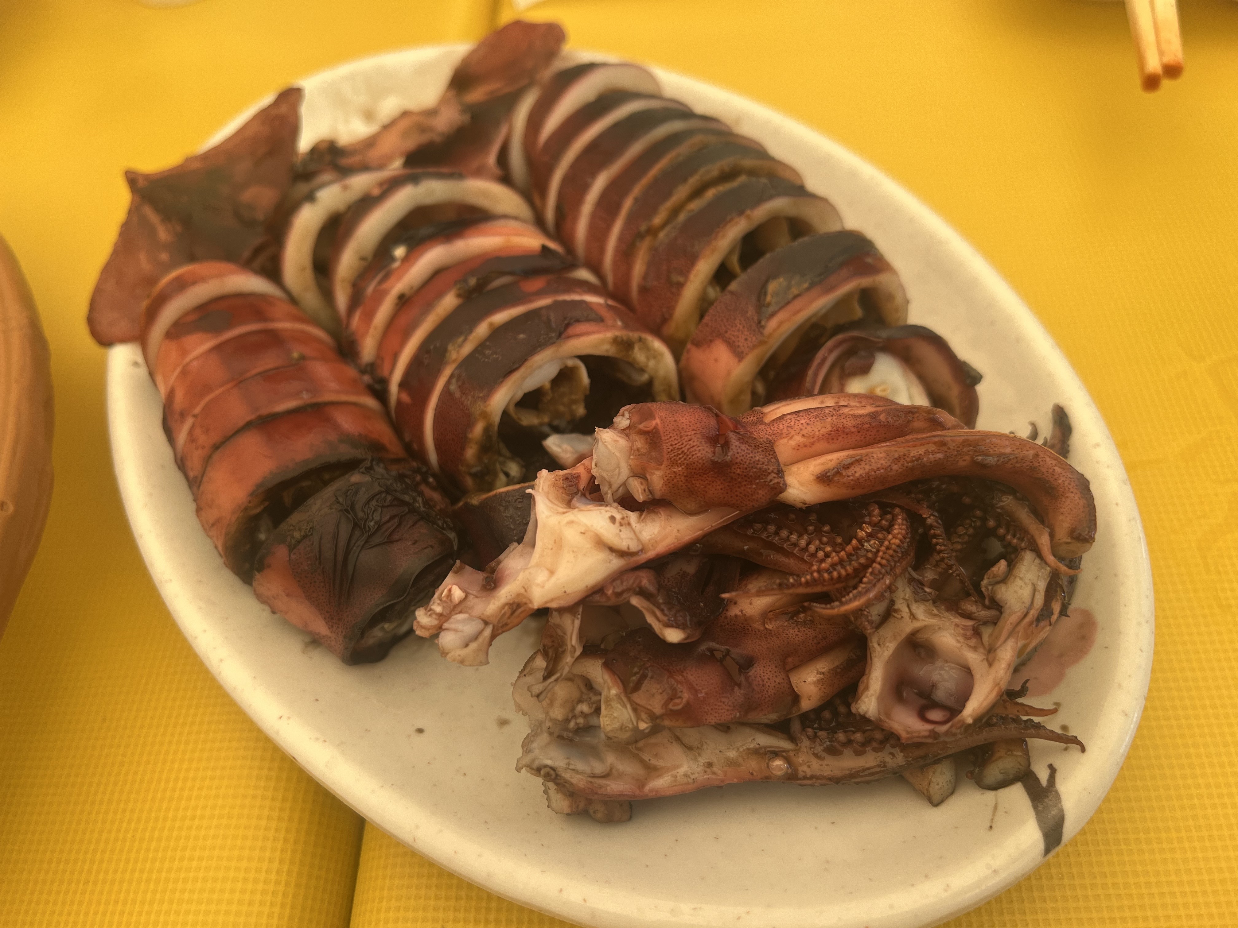 강원도 고성 여행 데이트