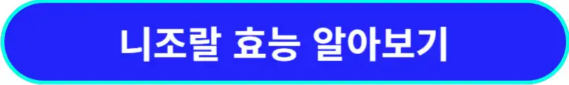 니조랄-효능-알아보기