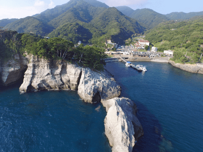 도쿄-근교-여행지-가마쿠라-에노시마-요코하마-하코네-이즈-닛코-카와고에-스이카-애플페이-일본-체크-카드-돈키호테-할인쿠폰