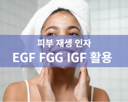피부 재생 인자