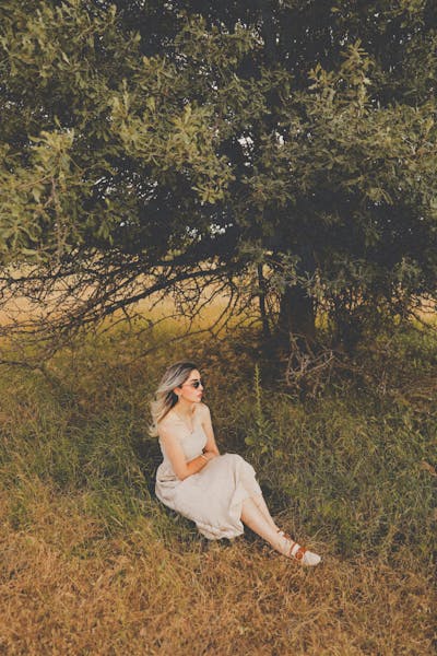 폭염 종합 대책 수립 현황 총정리 (2025 최신 가이드)