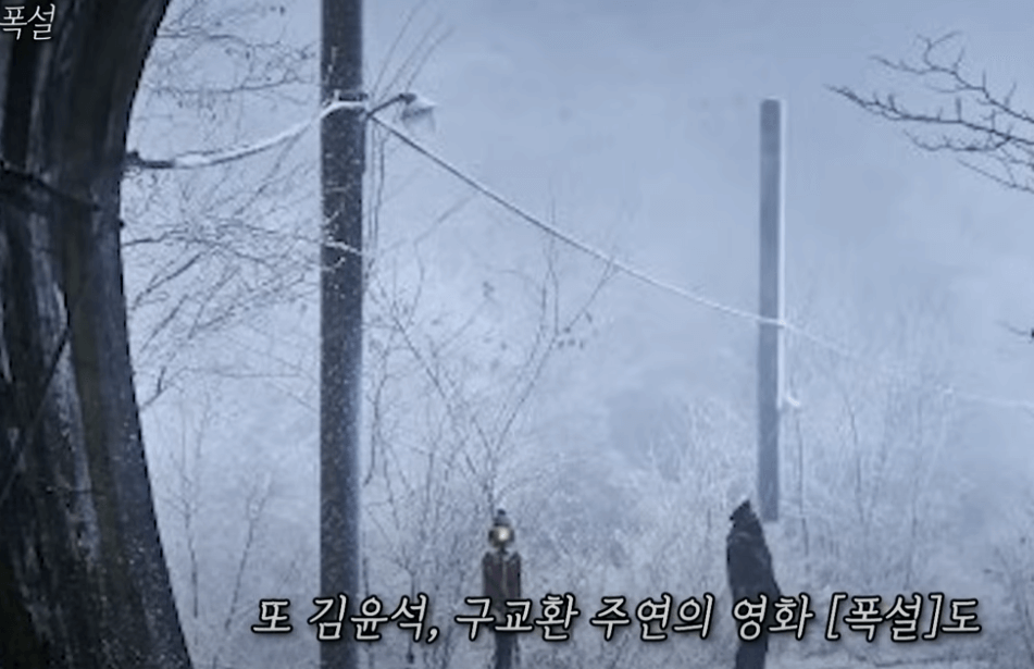  폭설