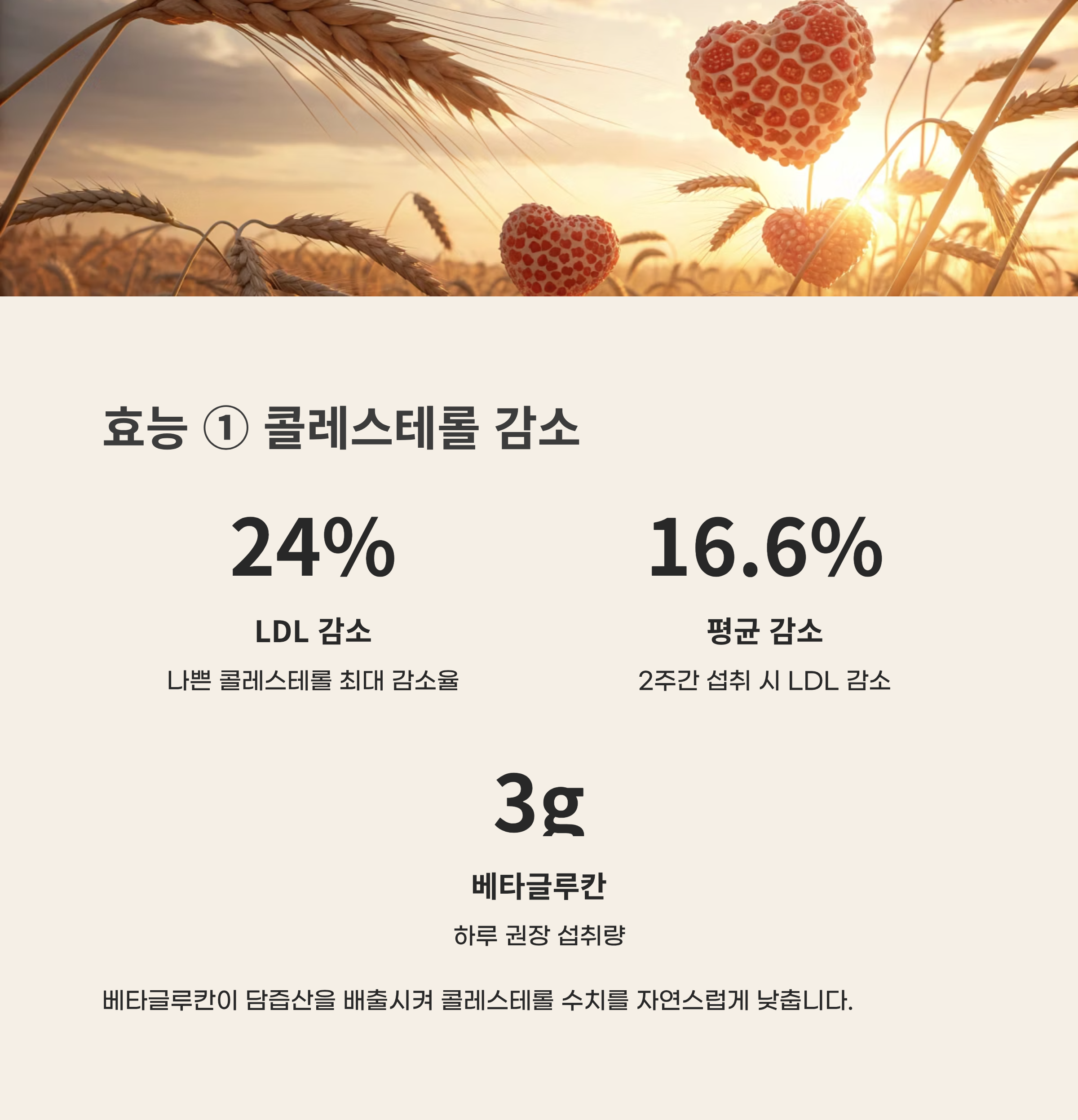 귀리 효능과 부작용 2025 완벽 가이드 – 슈퍼푸드 효능과 숨겨진 함정 총정리!