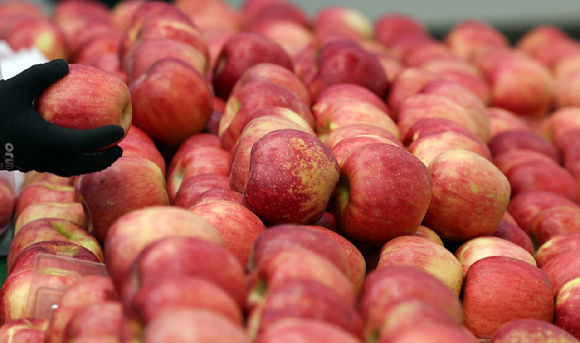 사과가 비싸다는 이유로 가게에서 칼을 들고 난동을 부린 50대 남성이 징역 1년을 선고받았다. 본 기사와 무관한 이미지. [사진=뉴시스]