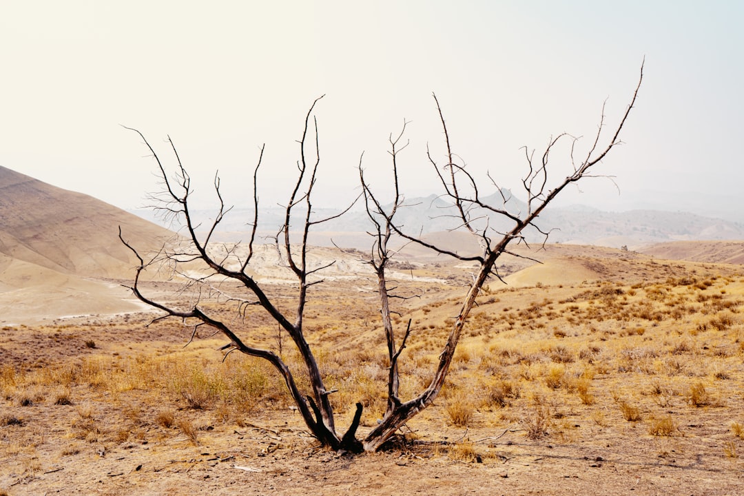 Dryness