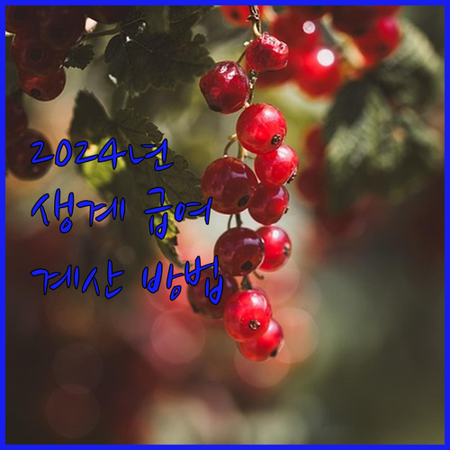 2024년 생계 급여 얼마나 받을 수