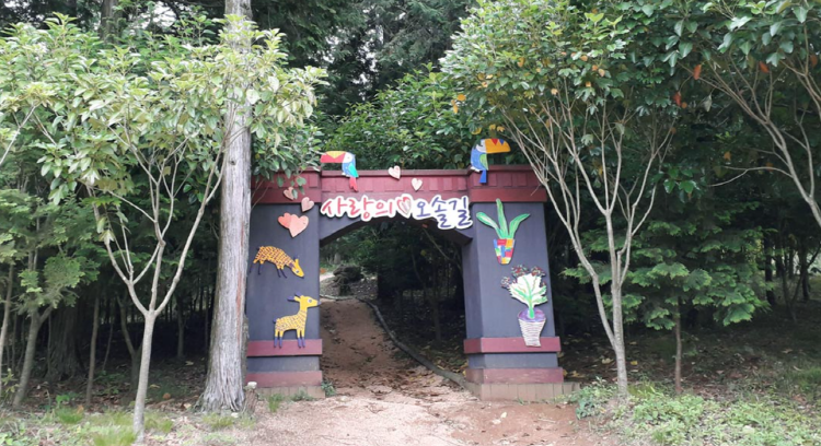 장흥 우드랜드 편백숲