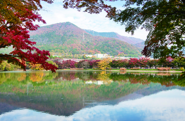 내수면생태공원