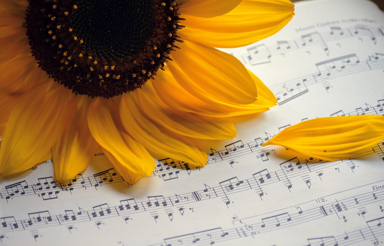sheet music and sunflowers